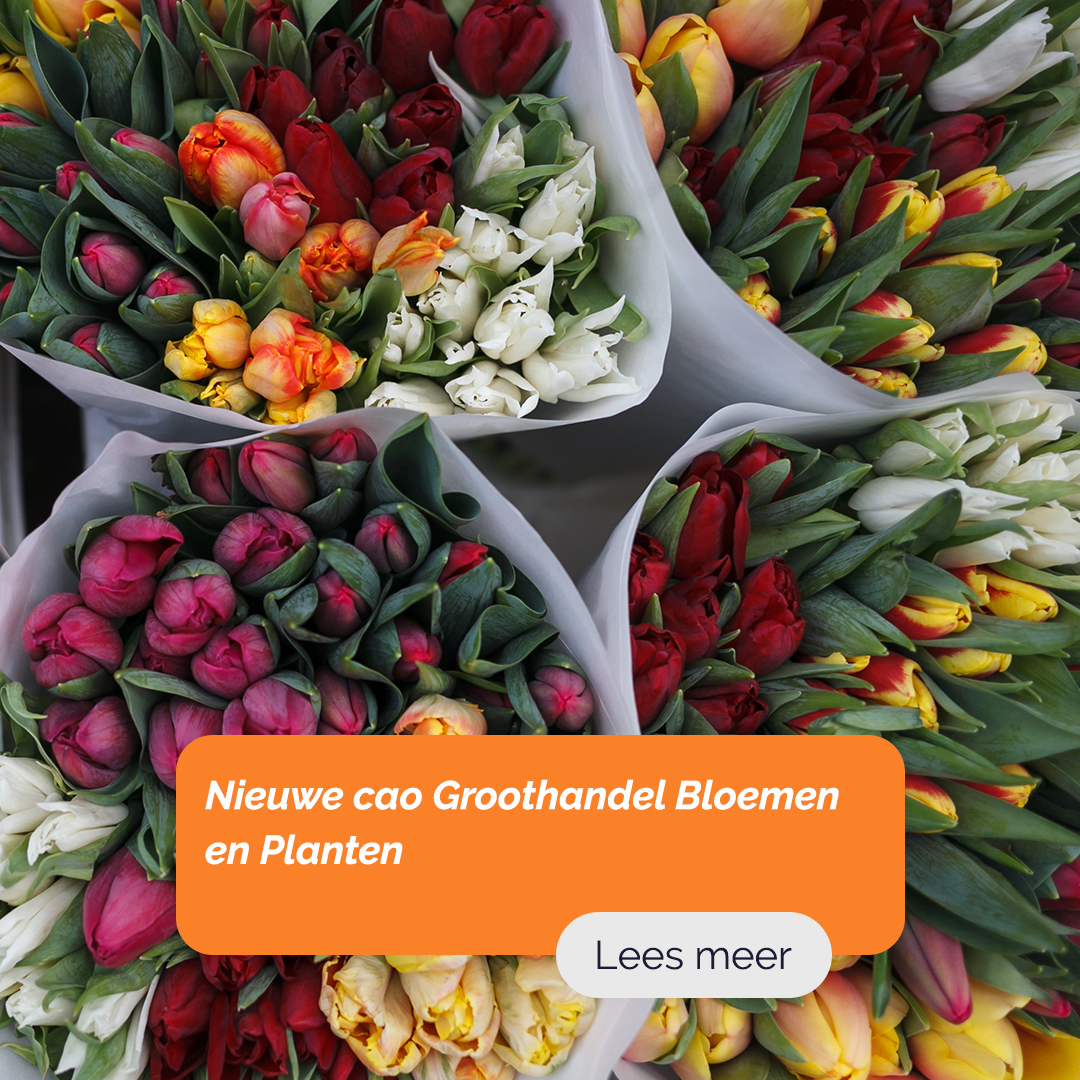 Nieuwe cao Groothandel Bloemen en Planten 2023 en 2024 RWV Advocaten